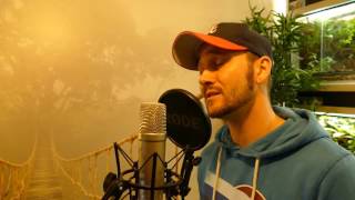 Tay Schmedtmann - Lauf Baby lauf (The Voice of Germany 2016) / Cover by MF acoustic music
