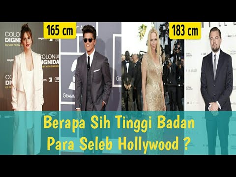 download lagu mp3 mp4 Taylor Swift Tinggi, download lagu Taylor Swift Tinggi gratis, unduh video klip Taylor Swift Tinggi