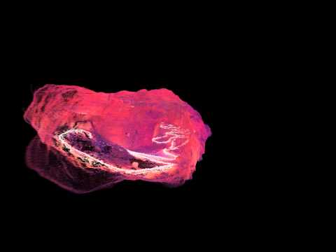 3D Point Cloud of Ninety Six National Historic Site's Kosciusko Mine