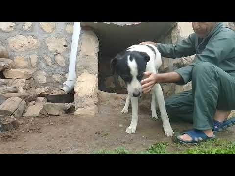 Day4577 Happy 28Jun2024