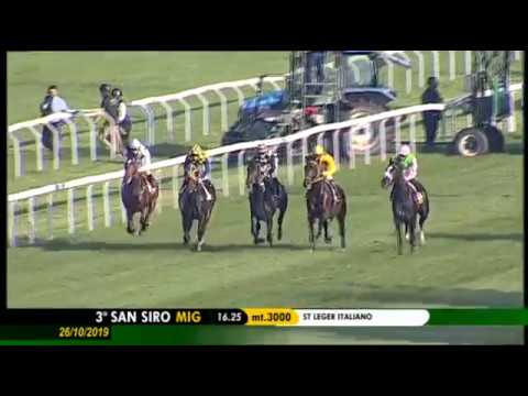 2019.10.26  St Leger Italiano - Pretending