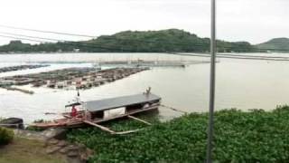 preview picture of video 'Binangonan Freshwater Station'