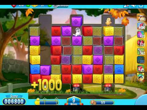 Pet Rescue Saga   Level 2558   No Boosters