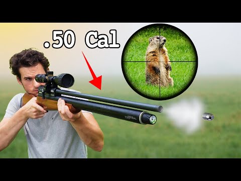 Testing the CHEAPEST .50 Cal Air Rifle!