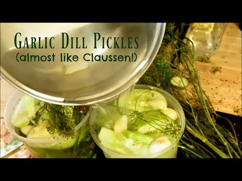 download lagu mp3 mp4 How To Make Dill Pickles Like Clausen, download lagu How To Make Dill Pickles Like Clausen gratis, unduh video klip How To Make Dill Pickles Like Clausen
