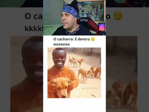 cachorro: é dentro 🥲 #shorts