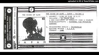 1/2 V/A THE SOUND OF HATE : VOLUME 6 - JAPAN C60 Cassette SIDE A Rare Japan Experimental Noise Comp