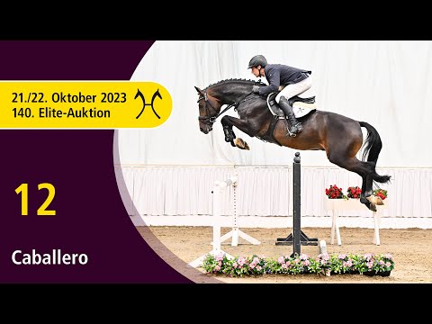 140th Elite-Auction - Oct. 21/22 - No. 12 Caballero by Comme il faut NRW - Quintender