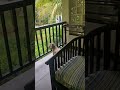 Pet Friendly Resort In Pondicherry Wonderful Time Spent