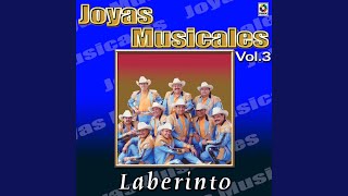 Liebres De Chihuahua