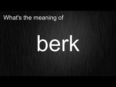 What's the meaning of "berk", How to pronounce berk?