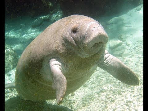 Tune of The Week #11 - Big K.R.I.T: Somedayz