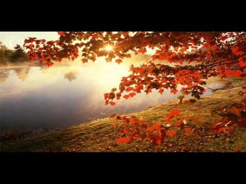 Eric Trey - Grace (Peet Beck Summer Mix *HD*)