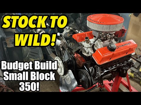 Stock to Wild? The Budget Small Block Chevy 350 We BUILT at HOME! (The Bankrupt 350)