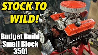 Stock to Wild The Budget Small Block Chevy 350 We BUILT at HOME! (The Bankrupt 350)