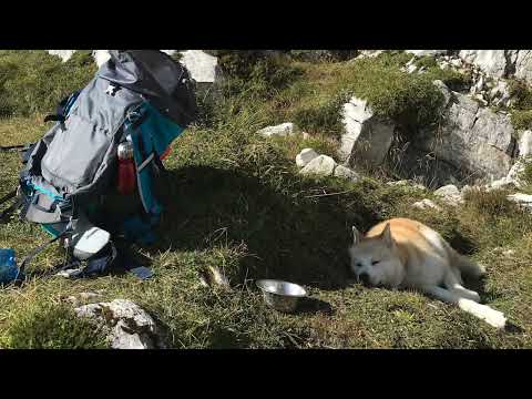 CIMA SASSO DI BOSCONERO TREKKING