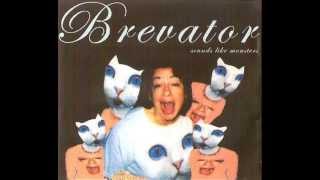 Time Rodeo - Brevator