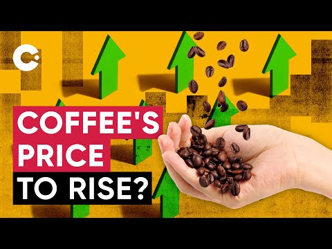 Coffee: What Moves its Price? | Explaining the Economics of Coffee