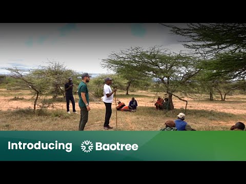 Baotree video thumbnail