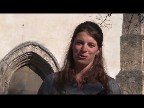 WBV TV: Die Schlussstein - 2017