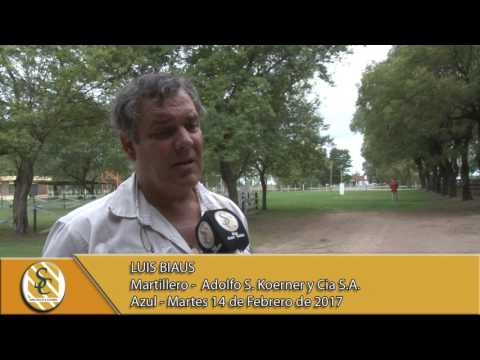 14-02-17 Nota Luis Biaus - Adolfo S. Koerner y Cia S.A. - Azul.