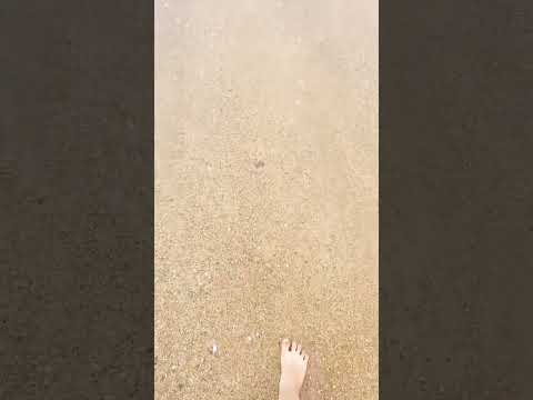 Turtle beach #sea #shorts #viral #trending #tiktok #saiyaara #karachi #trandingshorts