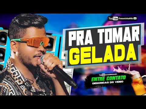 MIKAEL SANTOS ATUALIZADO - SERESTÃO 2026 PRA TOMAR UMAS