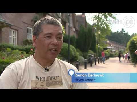 GLD VANDAAG  8 juni 2016 - Omroep Gelderland