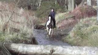 preview picture of video 'Reilly XC training Brechin'