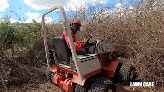 Mowing down 15FT TALL Thorn Bushes with the VENTRAC Tough Cut!  You won