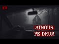 12 POVEȘTI ÎNFRICOȘĂTOARE DE GROAZĂ SINGURI PE DRUM RELATĂRI REALE