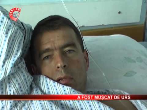 Un cioban în varsta de 44 de ani,din comuna Godeni,a ajuns la spital dupa ce a fost atacat de un urs