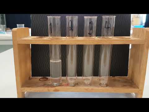 Der Halogenid -Nachweis