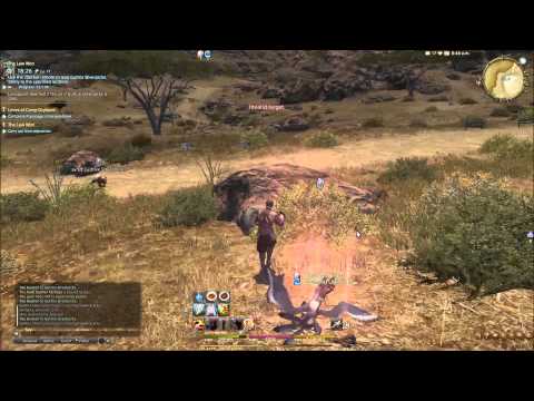 FFXIV - Ul'dahn Sidequest - "Leves of Camp Drybone"
