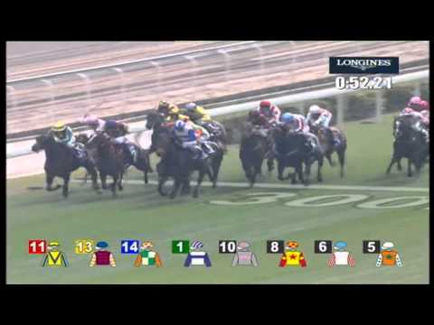 08.12.2013 Sha Tin (HKG) 5.Race The Hong Kong Sprint 2013 - Group I 1.200 m