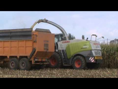 Loonw. Everaet - Zillebeke