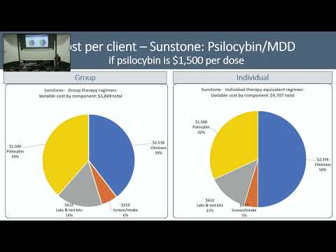 Elliot Marseille - Group sessions can make psychedelic treatment more accessible: Empirical evidence