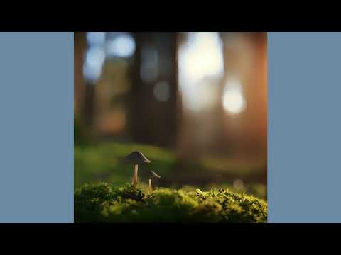 Human Behind Pluto & Apus - Hello