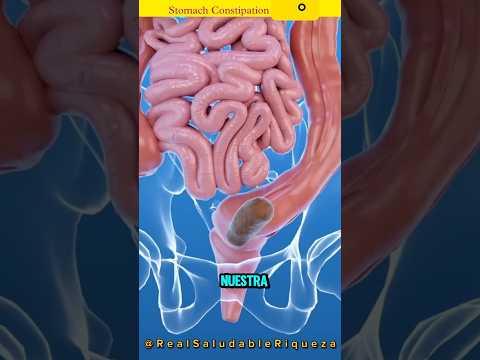 Cómo las heces pasan por el intestino realidad virtual."