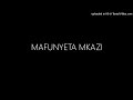 MAFUNYETA MKAZI