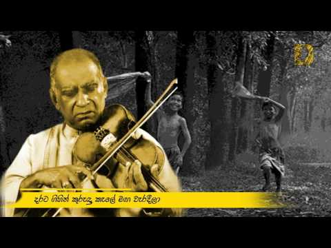 WD Amaradeva ~ Ma Wawulan මා වවුලන් රෑ පුරාම රංචු ගැසීලා මී ගස් යට මී වැහි වහැලා..