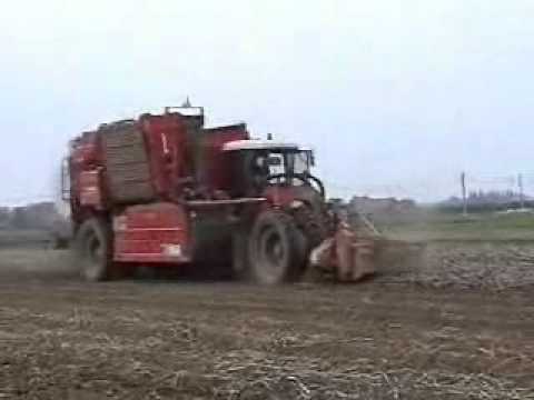 Vanneste P.: Aardappel rooien.