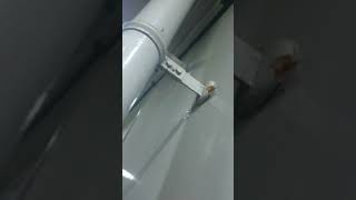 蜘蛛の網張り