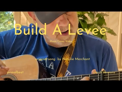 Build A Levee