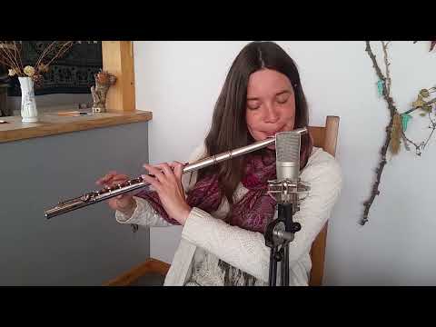 🍀 Irish Music on Silver Flute : Ril Liatroma / The Killavil Fancy / The New Line to Loughaun 🎶