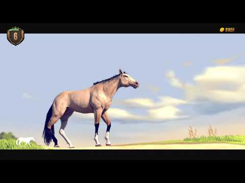 Phar Lap - Horse Racing Challenge_20200405181317