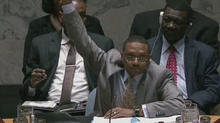 Security council votes no to Palestinian statehood