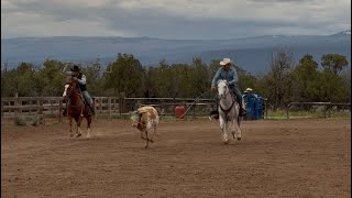 Video 1