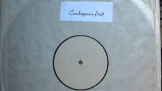 Fusion Groove Orchestra "Coochy Coo" (SummerHeadz instru) 2000