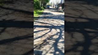 Música y Magia . "Silencio" (Rosana)